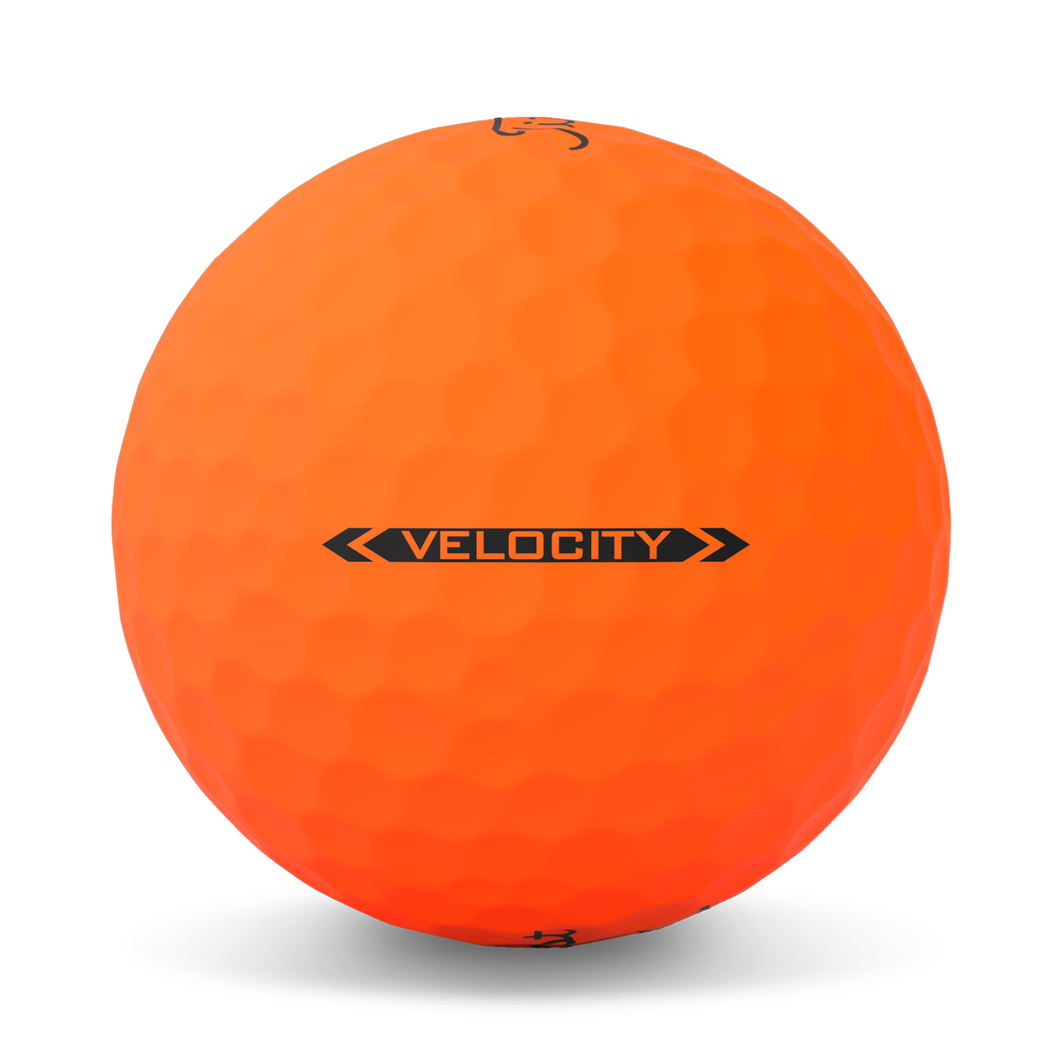 VELOCITY       Orange